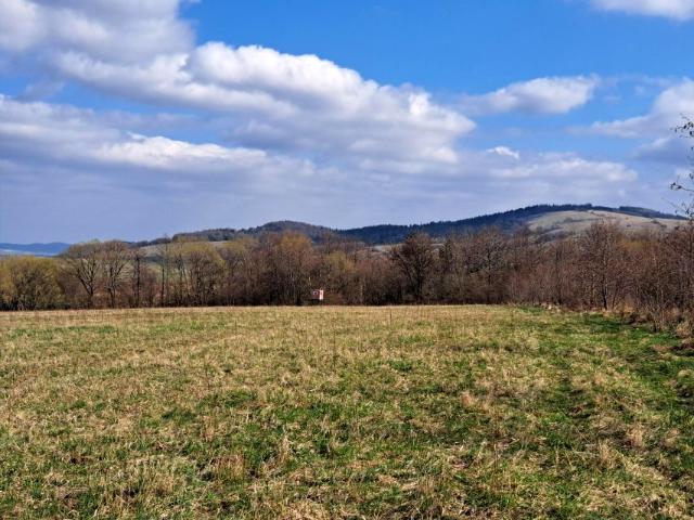 Działka 17 019 m², Pielgrzymka