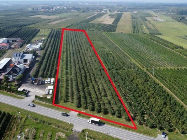 Działka 17 200 m², Dębnowola