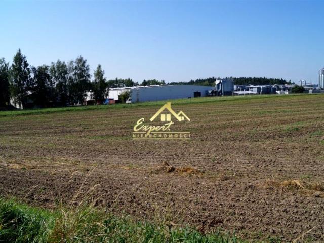 Działka 17 453 m², Nowe Miasto Lubawskie