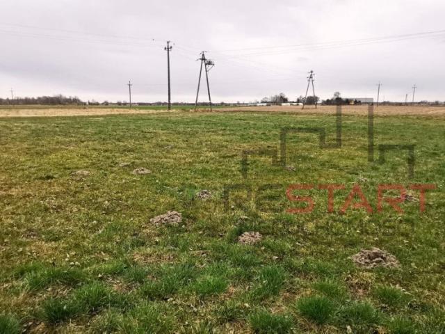 Działka 1800 m² z WZ, media, cicha okolica w Karolinie