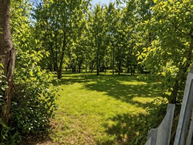 Działka 1865 m² na Kabatach z dużym potencjałem