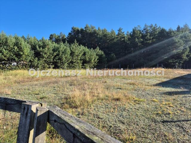 Działka 1882 m2 pod dom w Dąbrówce Nowej, las, media