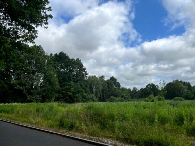 119572 5 000 m², Podkowa Leśna