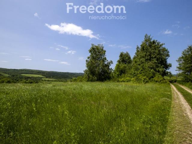 Działka 18 004 m², Krzywe