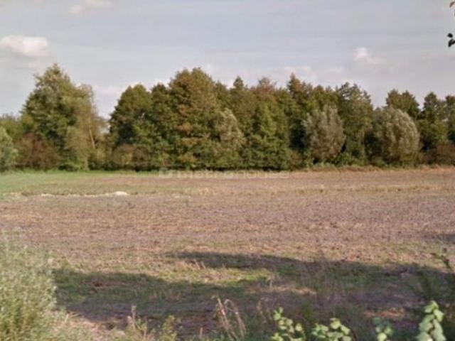 Działka 18 233 m², Międzylesie