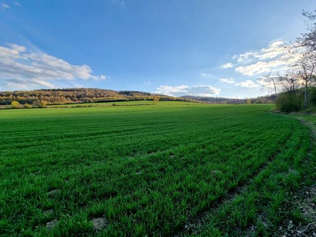 Działka 18 600 m², Bystrzyca Górna