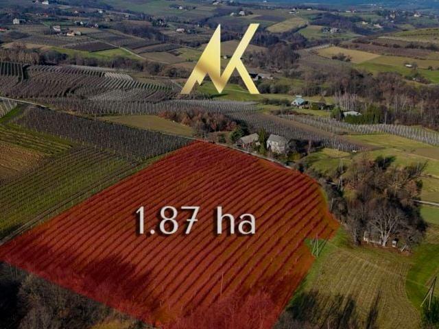 Działka 18 700 m², Góra Świętego Jana