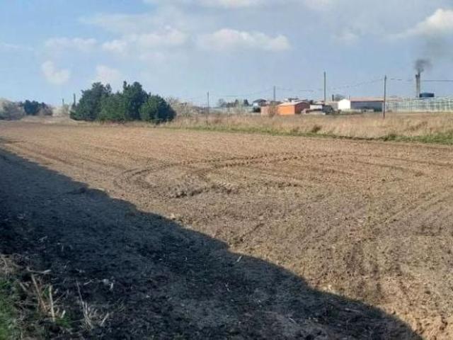 Działka 18 800 m², Kalisz