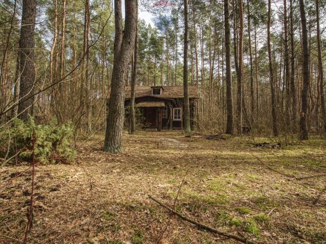 Działka 1900 m² z domkiem w lesie, MPZP, Łosie
