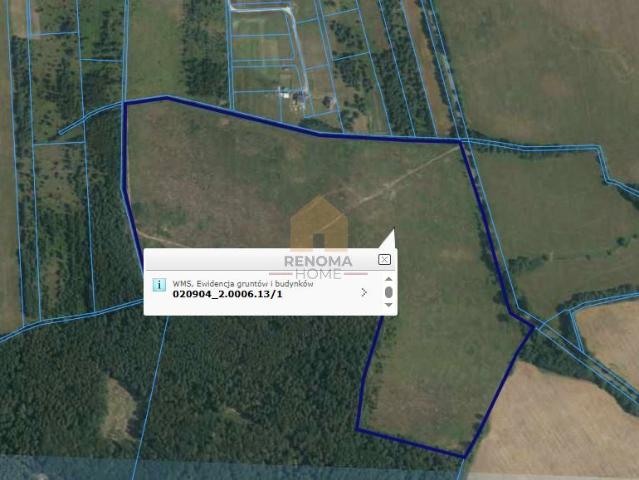 Działka 196 400 m², Miłogostowice