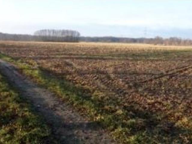Działka 199 828 m², Grabostów