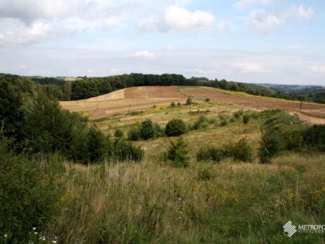 Działka 19 000 m², Biały Kościół