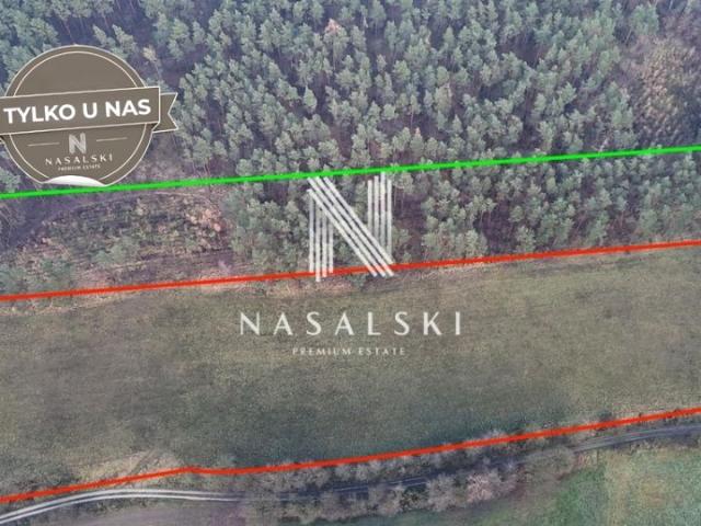 Działka 19 100 m², Jabłowo Pałuckie