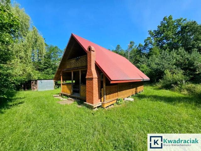 Działka 19 200 m², Pietrusza Wola