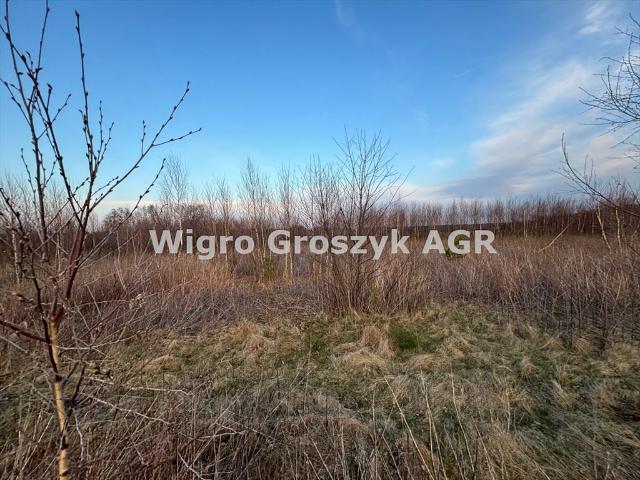Działka 19 824 m² z warunkami zabudowy i prądem