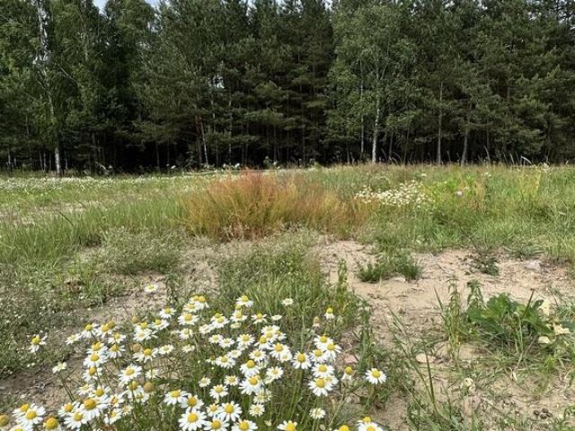 Działka 1000 m2 z planem zabudowy letniskowej i mieszkaniowej