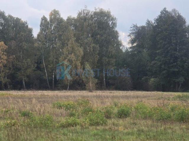 Działka 983 m² z mediami, planem zabudowy, lasem i dostępem do drogi