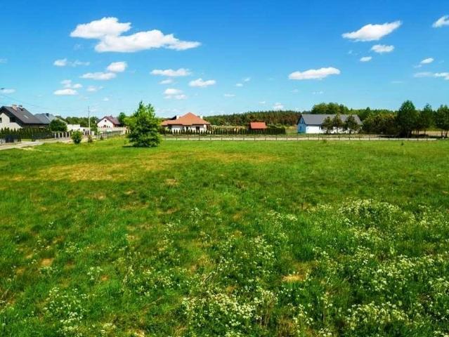 Działka 1000 m² w Płozy z mediami, las i łąki