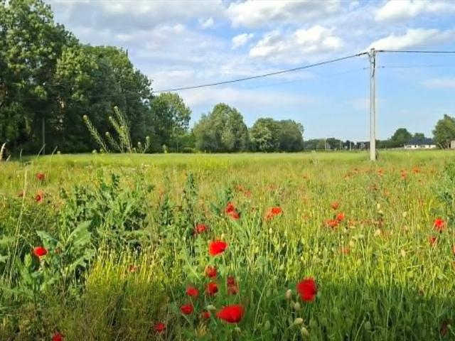 Działka 1000 m² z mediami, MPZP, blisko Krakowa