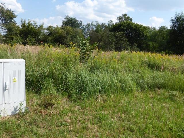 Działka 1000 m² pod dom z mediami i lasem w Radecz
