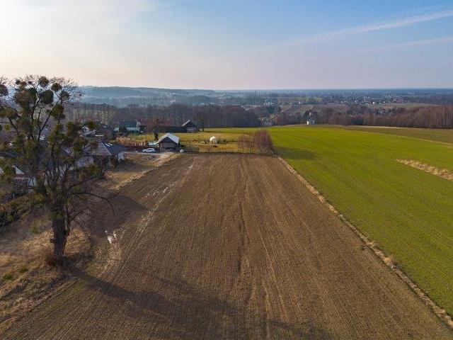 Działka 1002 m2 w Międzyrzeczu Dolnym – spokój i natura