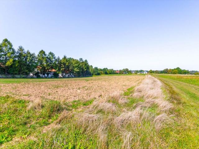 Działka 1009m2 z warunkami zabudowy w Uniszowicach