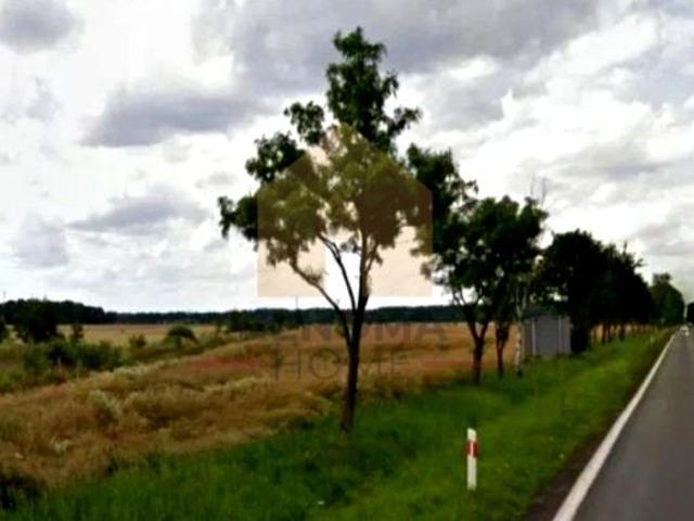 Działka 107 400 m², Kawice