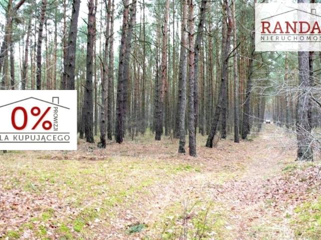 Działka 107 010 m², Młodzikówko