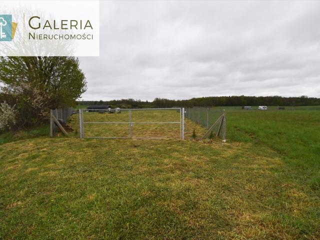 Działka 1056 m² pod dom lub rekreację w Dziśnitach