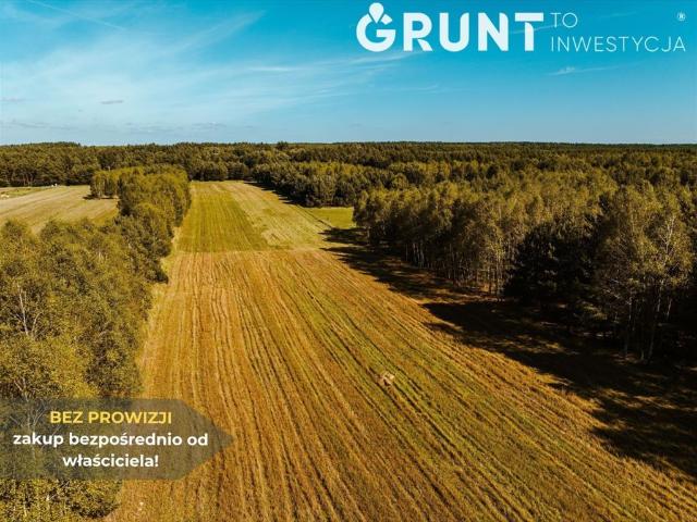 Działka 1076 m² w otoczeniu lasów i Zalewu Ostrowy