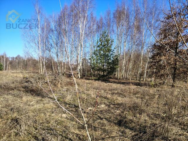 Działka 1090 m² z planem zabudowy w Nowych Mostkach