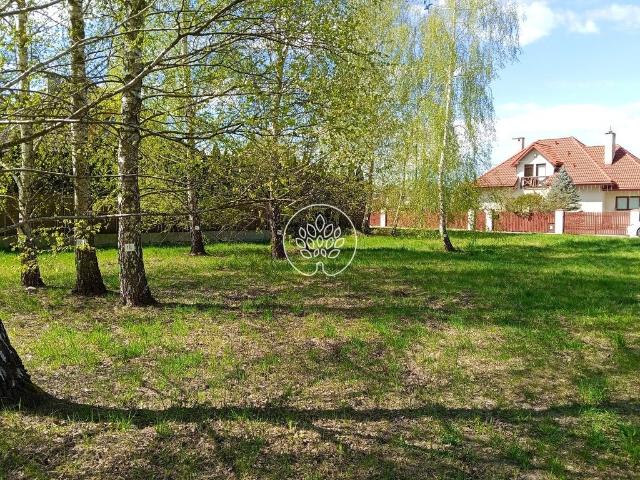Działka 1094 m² w Głoskowie z pełnym uzbrojeniem i urokiem