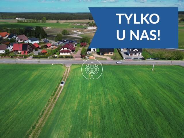 Działka 1097 m² w Śliwicach – idealna pod dom z mediami