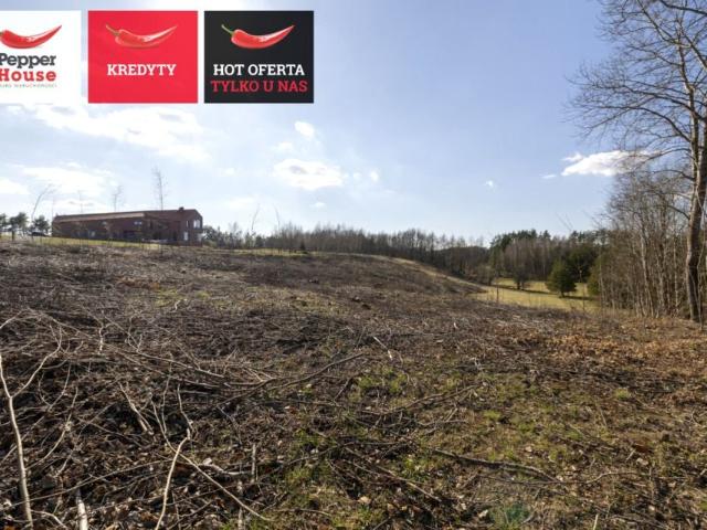 Żwirowa 10 079 m², Michalin