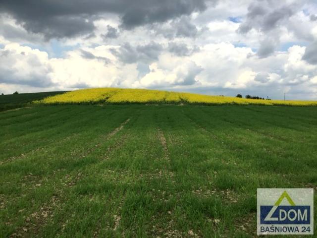 Działka 10 084 m², Moszna