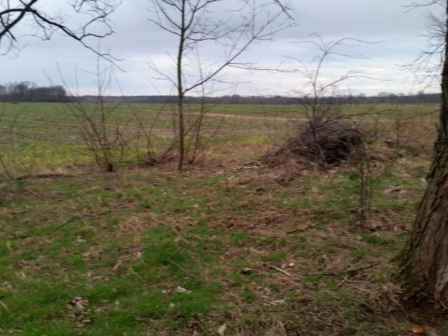 Działka 10 000 m², Mirków