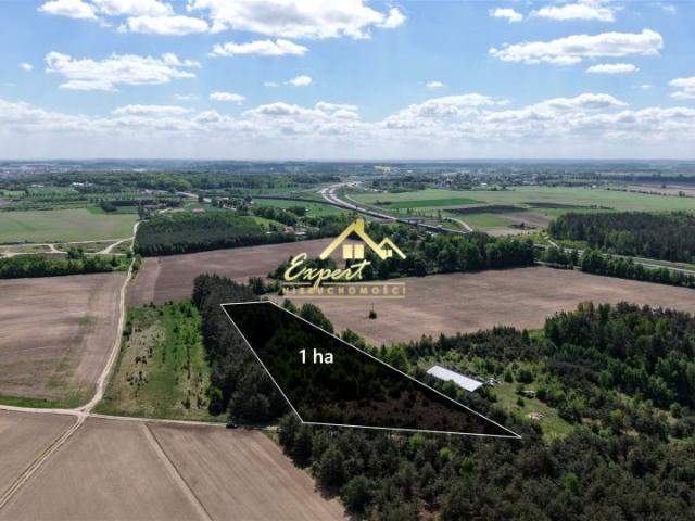 Działka 10 000 m², Olsztynek