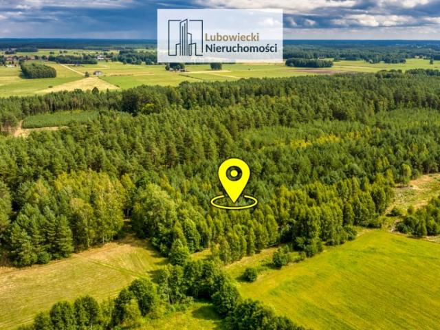 Działka 10 000 m², Olszyny