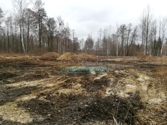 Działka 10 000 m², Czarny Las