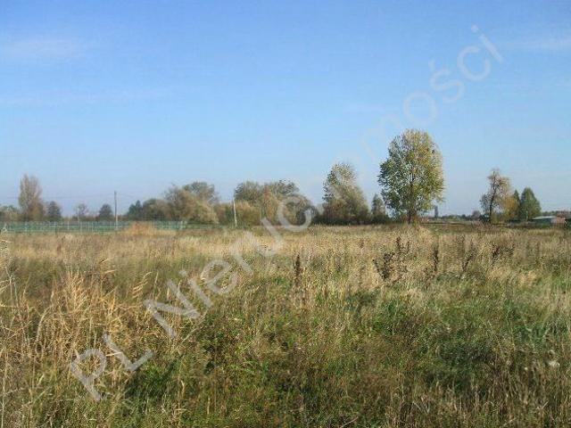 Działka 10 000 m², Chrzanów Mały