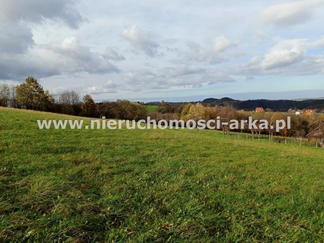Działka 10 000 m², Jodłownik