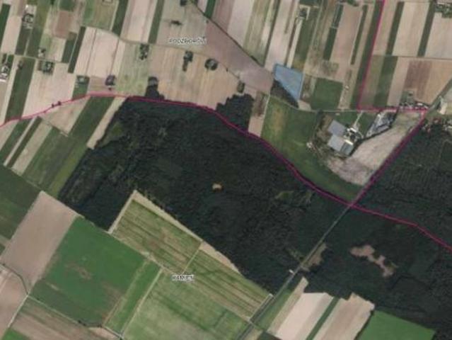Działka 10 000 m², Kalisz
