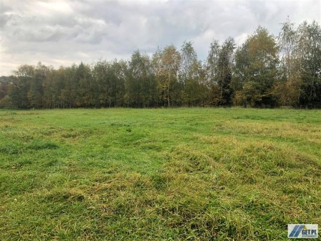 Działka 10 000 m², Lusina