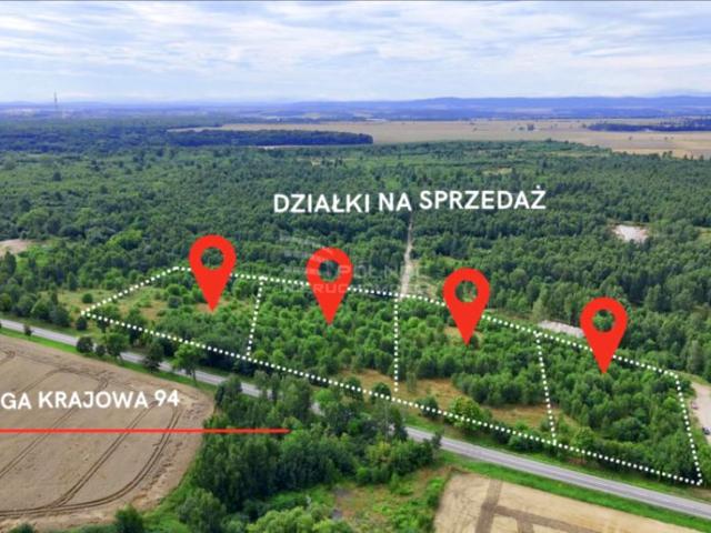 Działka 10 000 m², Lipce