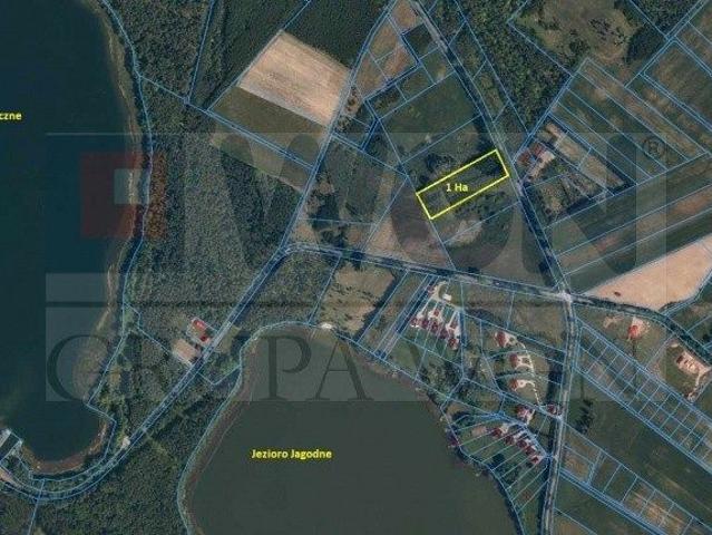 Działka 10 000 m², Rydzewo