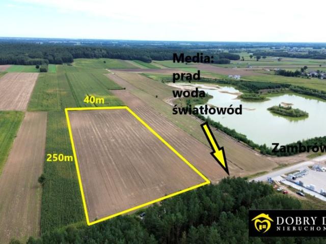 Działka 10 000 m², Szumowo