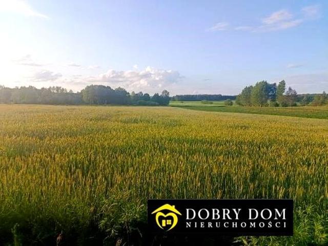 Działka 10 000 m², Wasilków