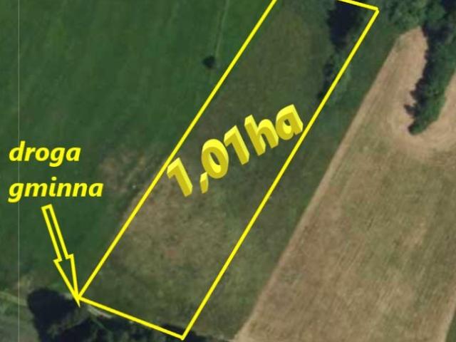 Działka 10 100 m², Pieńki