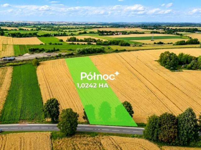 Działka 10 242 m², Hrubieszów