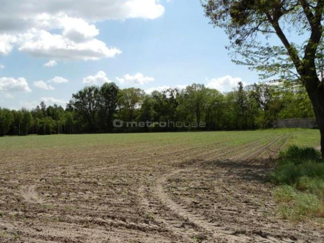 Działka 10 295 m², Luciny
